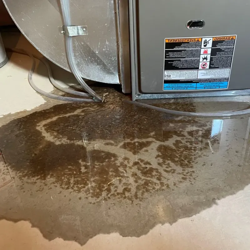 Pipe Burst and Leak Restoration in Culebra barrio-pueblo, PR